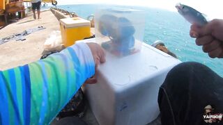 Krabi 2023 секретная точка Klong Muang EP1 береговая морская рыбалка в Таиланде