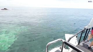 Крабийский капитан принимает вызов рыбалка за 3 часа на местном катере