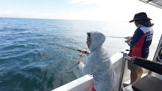 Крабийский капитан принимает вызов рыбалка за 3 часа на местном катере