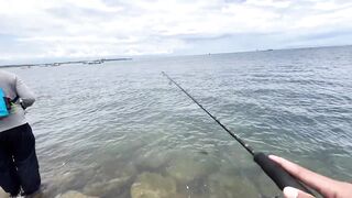 Ультралайт рыбалка в Сануре Бали береговая охота на барракуду минноу киллер в деле