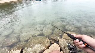 Ультралайт рыбалка в Сануре Бали береговая охота на барракуду минноу киллер в деле