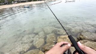 Ультралайт рыбалка в Сануре Бали береговая охота на барракуду минноу киллер в деле