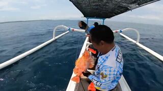 Wisata mancing на Бали секретный спот по крупному grouper хочется рыбачить снова