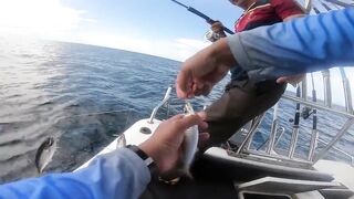 Андманская морская рыбалка Krabi выпуск 28 охота за морским щуком у внешних рифов