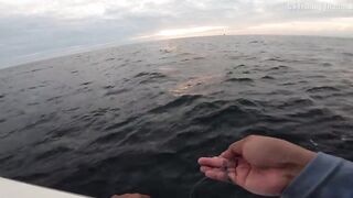 Андманская морская рыбалка Krabi выпуск 28 охота за морским щуком у внешних рифов