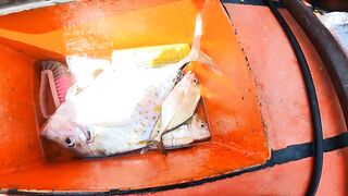 Опасно крутой spot в Benoa Bali морская рыбалка где клюют только крупные babon