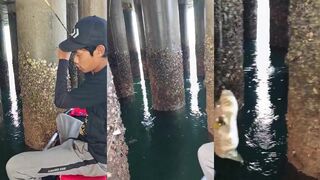 Рыбалка под трассой Bali Mandara джекпот спиннингиста на секретном морском споте