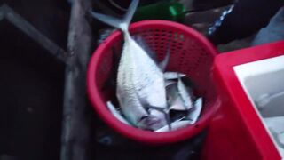 Три дня на лодке Krabi дикий хищник и быт рыбаков в длиннохвостом катере