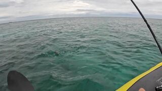 Рыбалка с лодки на Бали ловим и готовим трофей свежая морская рыбалка на джиг