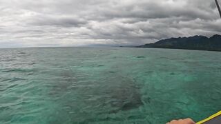 Рыбалка с лодки на Бали ловим и готовим трофей свежая морская рыбалка на джиг