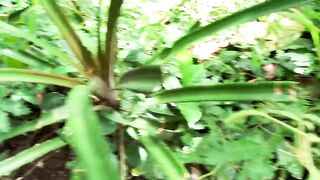 Рыбалка в кратере вулкана Батур необычная рыбалка на Бали с видом на Агунг