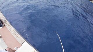 Морская рыбалка на Бали туры января 2025 программы лодки и виды трофеев