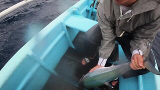 Морская рыбалка на Бали туры января 2025 программы лодки и виды трофеев