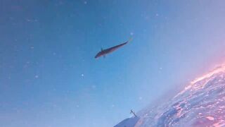 Морская рыбалка на Бали туры января 2025 программы лодки и виды трофеев