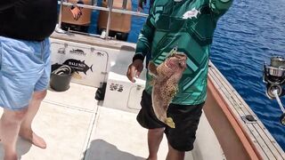 Морская рыбалка на Бали туры января 2025 программы лодки и виды трофеев