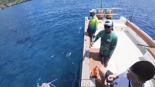 Морская рыбалка на Бали туры января 2025 программы лодки и виды трофеев