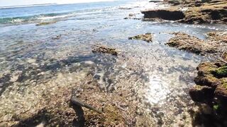 Ловлю самую красивую рыбу в мире морская рыбалка на Бали со спиннингом у рифов