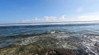 Ловлю самую красивую рыбу в мире морская рыбалка на Бали со спиннингом у рифов
