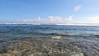 Ловлю самую красивую рыбу в мире морская рыбалка на Бали со спиннингом у рифов