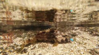 Ловлю самую красивую рыбу в мире морская рыбалка на Бали со спиннингом у рифов