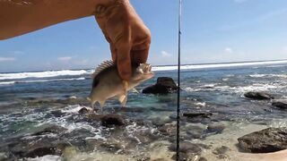 Ловлю самую красивую рыбу в мире морская рыбалка на Бали со спиннингом у рифов