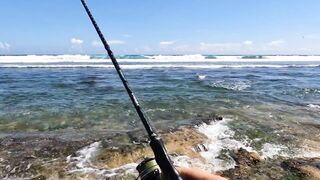 Ловлю самую красивую рыбу в мире морская рыбалка на Бали со спиннингом у рифов