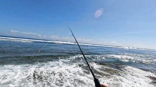 Ловлю самую красивую рыбу в мире морская рыбалка на Бали со спиннингом у рифов