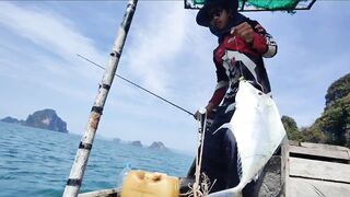 Krabi 2023 андманский джиг и донная морская рыбалка в провинции Krabi всё ещё радует