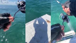 Какой улов эмоции рыбака в момент когда морская рыбалка дарит трофей мечты