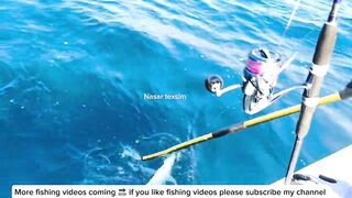 Глубоководная морская рыбалка в Бахрейне на катере Nasar Texsim за крупной рыбой