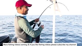 Глубоководная морская рыбалка в Бахрейне на катере Nasar Texsim за крупной рыбой