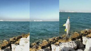 Fishing in Bahrain морская рыбалка в Персидском заливе у городских набережных