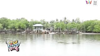 Krabi Koh Lanta подъём саев и заброс сетей охота за рыбой и креветкой в мангровых протоках