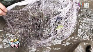 Krabi Koh Lanta подъём саев и заброс сетей охота за рыбой и креветкой в мангровых протоках