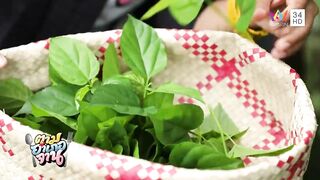 Krabi Koh Lanta подъём саев и заброс сетей охота за рыбой и креветкой в мангровых протоках