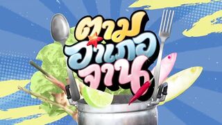 Krabi Koh Lanta подъём саев и заброс сетей охота за рыбой и креветкой в мангровых протоках