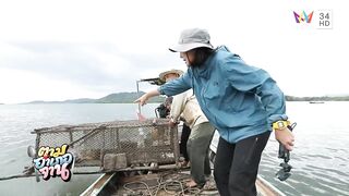 Krabi Koh Lanta подъём саев и заброс сетей охота за рыбой и креветкой в мангровых протоках