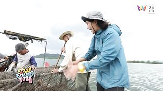 Krabi Koh Lanta подъём саев и заброс сетей охота за рыбой и креветкой в мангровых протоках