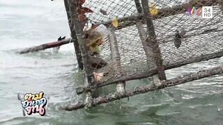 Krabi Koh Lanta подъём саев и заброс сетей охота за рыбой и креветкой в мангровых протоках