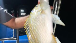 Ночная ловля рыбы в Восточном Бахрейне Рамадан море тишина и огни города