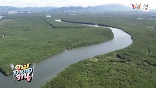 Krabi охота за groupers: экспедиция в мангровые дебри и рыбалка у корней