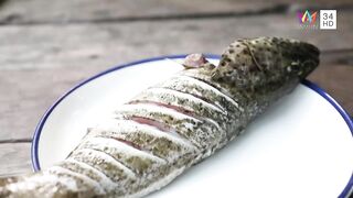 Krabi охота за groupers: экспедиция в мангровые дебри и рыбалка у корней