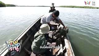 Krabi охота за groupers: экспедиция в мангровые дебри и рыбалка у корней