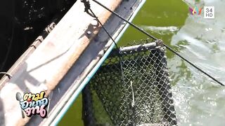 Krabi охота за groupers: экспедиция в мангровые дебри и рыбалка у корней