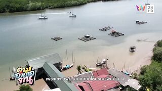 Krabi охота за groupers: экспедиция в мангровые дебри и рыбалка у корней