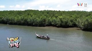 Krabi охота за groupers: экспедиция в мангровые дебри и рыбалка у корней