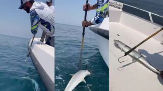 Морская рыбалка в Катаре охота на kingfish канад с береговым кастингом