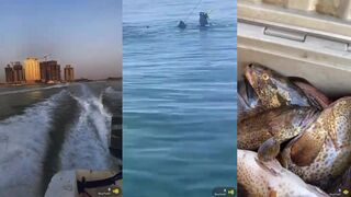 Хамур Bahrain 2024 морская рыбалка в Персидском заливе за королём местных глубин