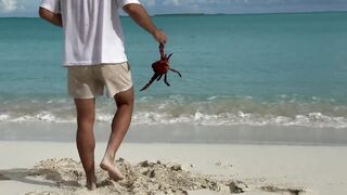 Большие крабы голыми руками продолжаем поиск собственного необитаемого острова