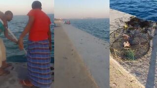 Fishing in Bahrain наш кемпинг на берегу и ночные поклёвки у палатки